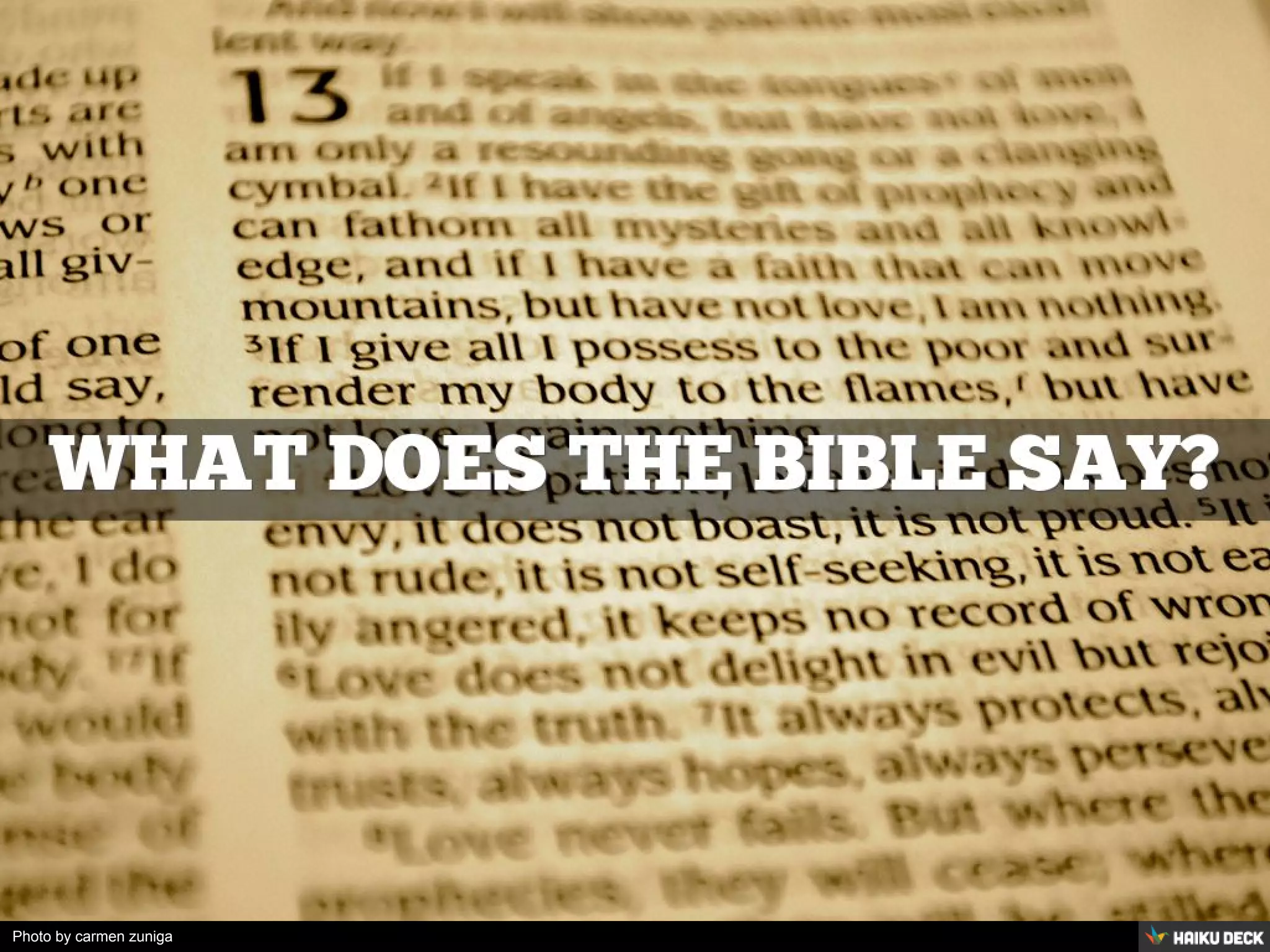 Photo by carmen zuniga
 