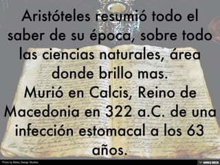 Photo by Metsu Design Studios
 