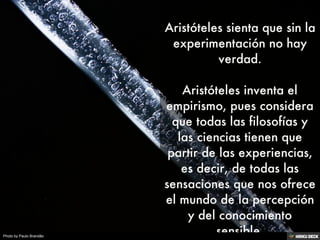 Photo by Paulo Brandão
 