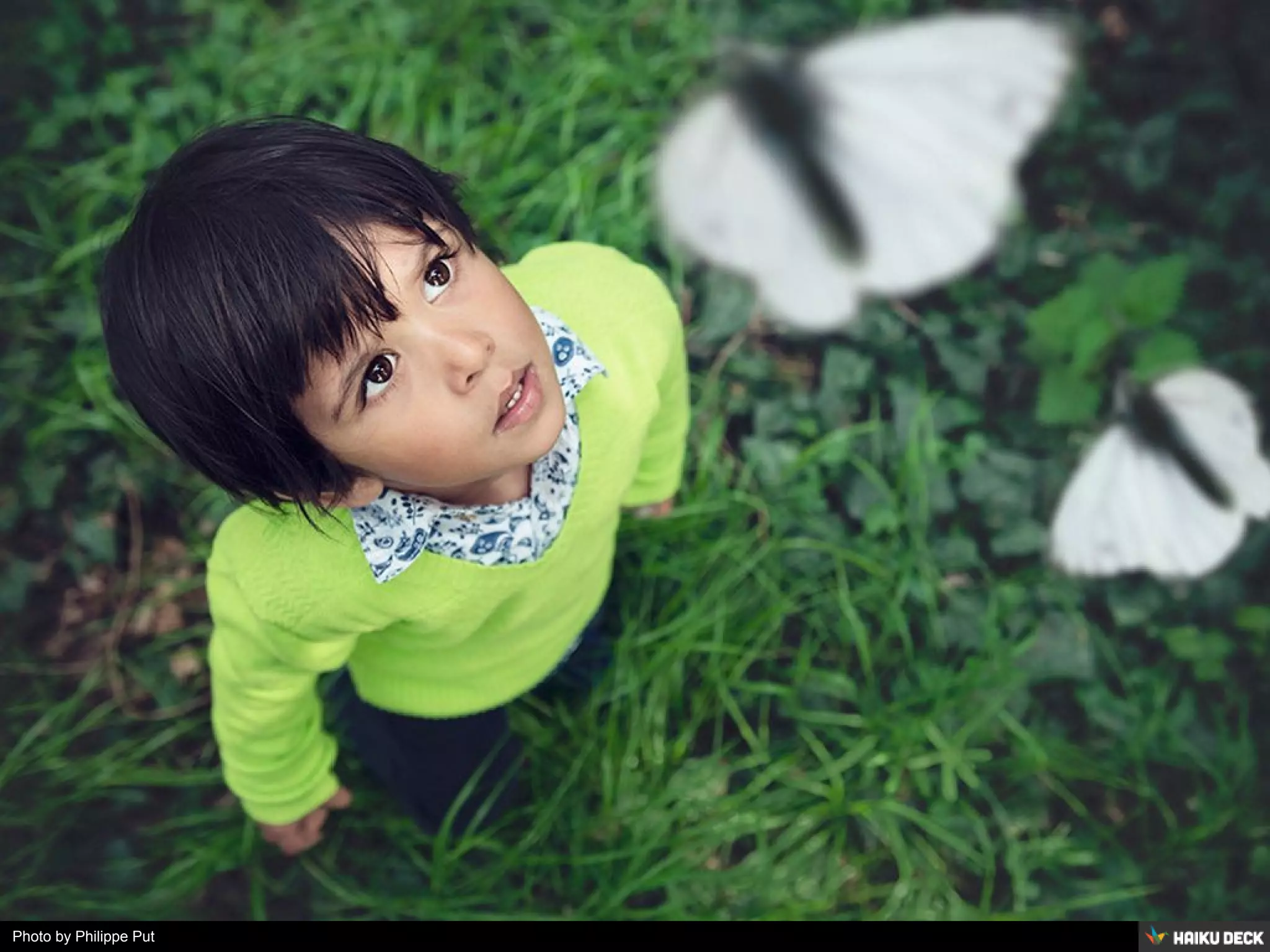 Photo by Philippe Put
 