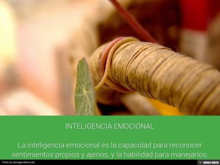 Photo by laimagendelmundo
 