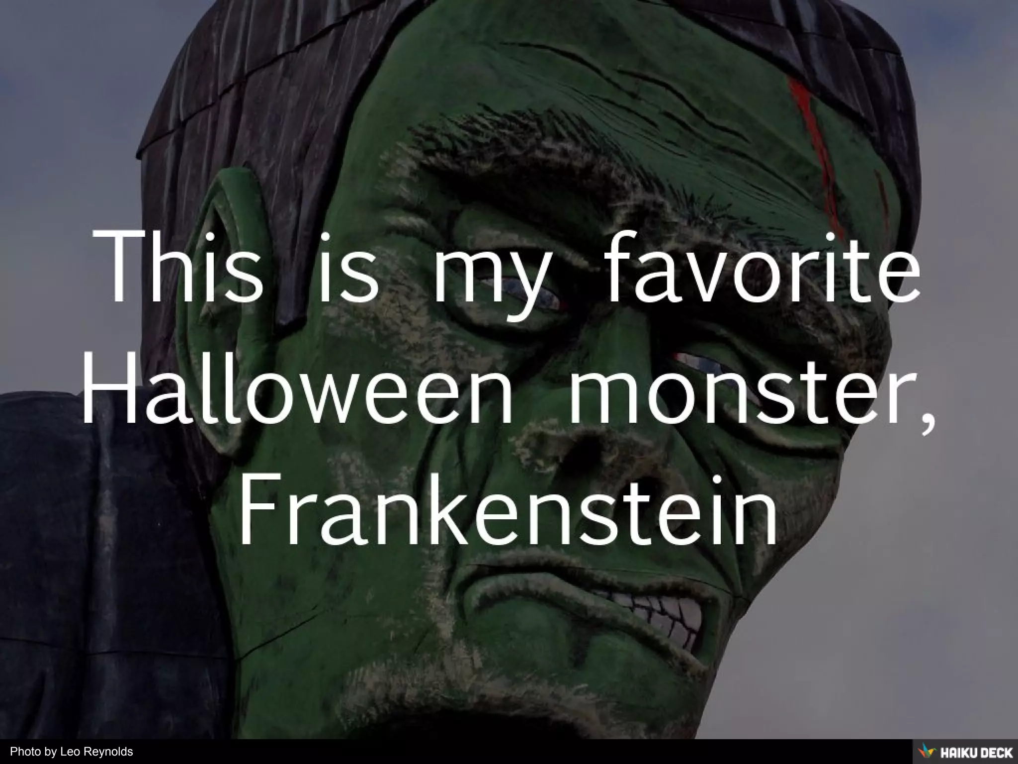 Photo by Leo Reynolds