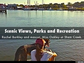 Charleston360 Real Estate