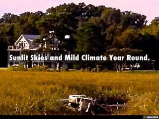 Charleston360 Real Estate