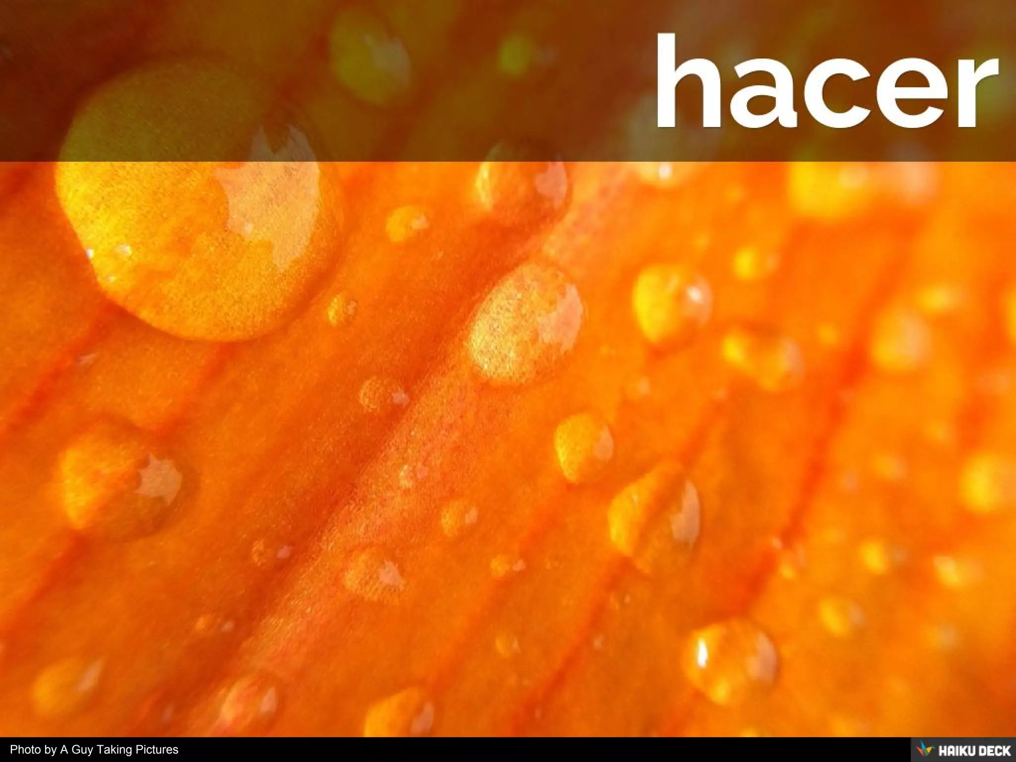 Photo by A Guy Taking Pictures
 