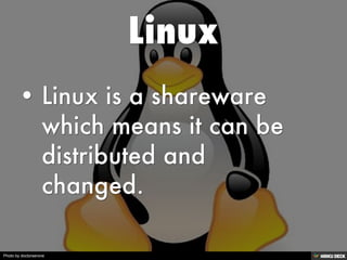 Photo by doctorserone
 