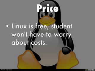 Photo by doctorserone