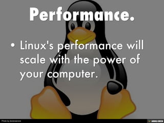 Photo by doctorserone