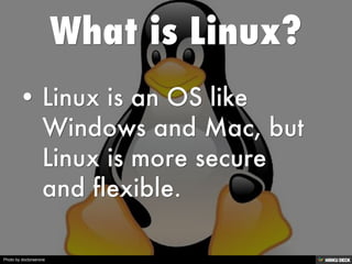 Photo by doctorserone