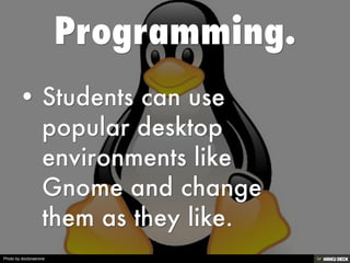 Photo by doctorserone