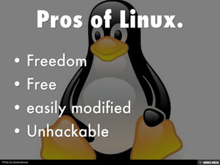 Photo by doctorserone