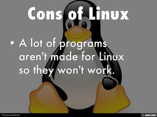 Photo by doctorserone