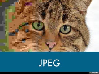 IMAGES