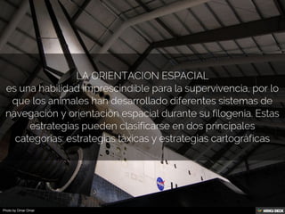 Navegacion Espacial