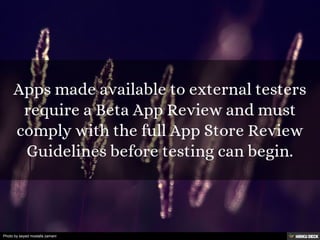 Photo by seyed mostafa zamani
 