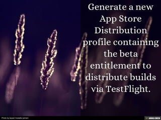 Photo by seyed mostafa zamani
 