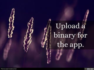 Photo by seyed mostafa zamani
 