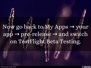 Photo by seyed mostafa zamani
 