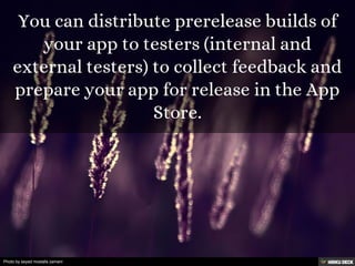 Photo by seyed mostafa zamani
 