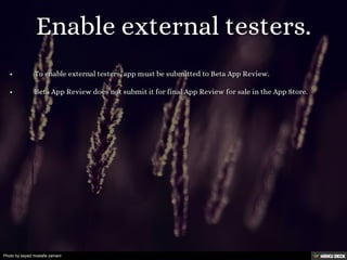 Photo by seyed mostafa zamani
 