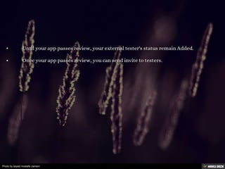 Photo by seyed mostafa zamani
 