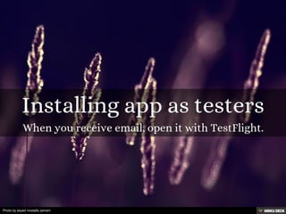 Photo by seyed mostafa zamani
 