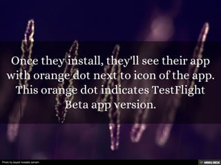 Photo by seyed mostafa zamani
 