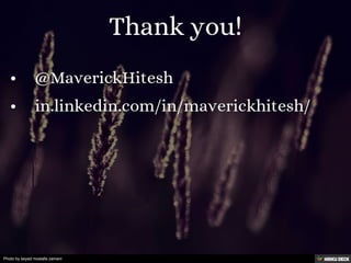 Photo by seyed mostafa zamani
 