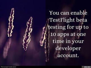 Photo by seyed mostafa zamani
 