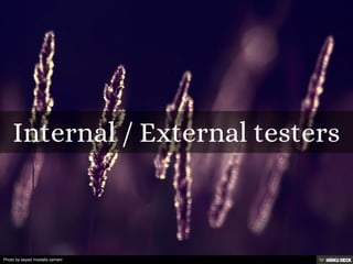 Photo by seyed mostafa zamani
 