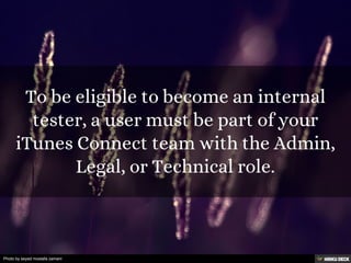 Photo by seyed mostafa zamani
 