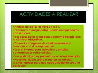 ACTIVIDADES A REALIZAR 
•Análisis de películas vista en la TV. 
•Ordenar y manejar datos usando computadoras 
con sensores. 
•Recopilar datos e imágenes del tema tratado con 
la cámara fotográfica. 
•Proyectar imágenes de células animales y 
humanas con el retroproyector. 
•Usar el Internet para actualizar y ampliar 
conocimientos sobre células. 
•Ver partículas muy pequeñas con el microscopio. 
•Presentar videos sobre el uso de las células, 
usando laptops para que cada estudiante use una 
particular. 
 