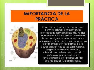 IMPORTANCIA DE LA 
PRÁCTICA 
Esta práctica es importante, porque 
permite adquirir conocimientos 
científicos de forma interesante, ya que 
las tecnologías utilizadas en la escuela, 
traen consigo nuevas oportunidades 
para aprender. Se debe destacar que los 
compromisos con los avance de la 
educación en República Dominicana, 
exigen que cada educador y 
educadora continúe renovando los 
esfuerzos, para contribuir al 
fortalecimiento de la estructura del 
sistema educativo dominicano. 
 