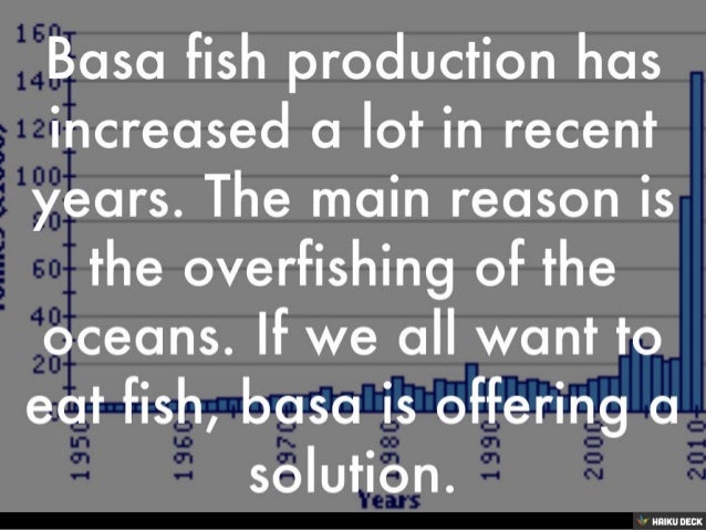 Is Basa Fish Safe To Eat Is Basa Fish Safe To Eat