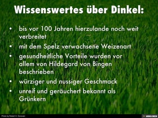 Photo by Robert S. Donovan