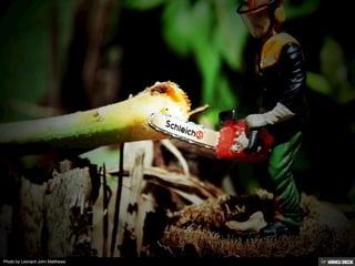 Photo by Leonard John Matthews
 