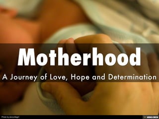 Motherhood  A Journey of Love, Hope and Determination  