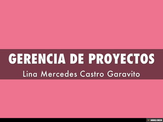 GERENCIA DE PROYECTOS  Lina Mercedes Castro Garavito 