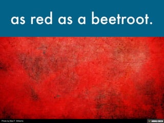 Photo by Max F. Williams
 