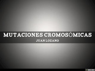 MUTACIONES CROMOSÓMICAS Juan lozano