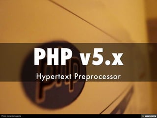 Photo by verdemagenta