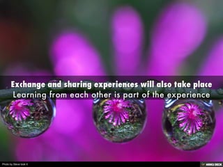 Photo by Steve took it
 