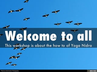 Photo by Hammonton Photography
 