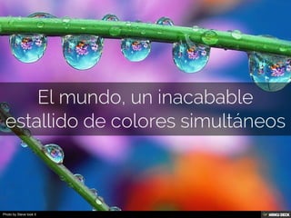Los colores incitan a filosofar