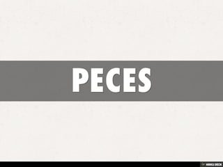 PECES
