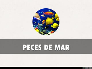PECES