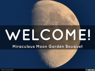 WELCOME!  Miraculous Moon Garden Bouquet 