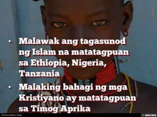 Photo by Dietmar Temps
 