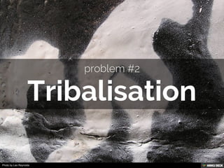 Photo by Leo Reynolds
 