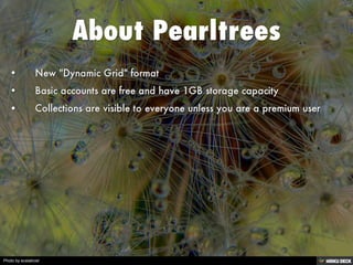 Pearltrees | PDF | Internet | Computing